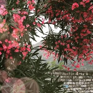 Meet your Posher, Fatimah